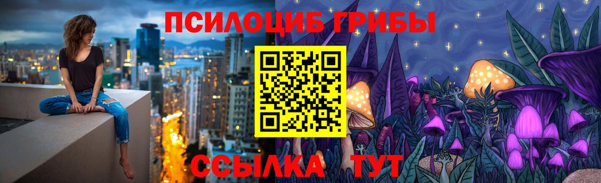 Галлюциногенные грибы мухоморы Владивосток